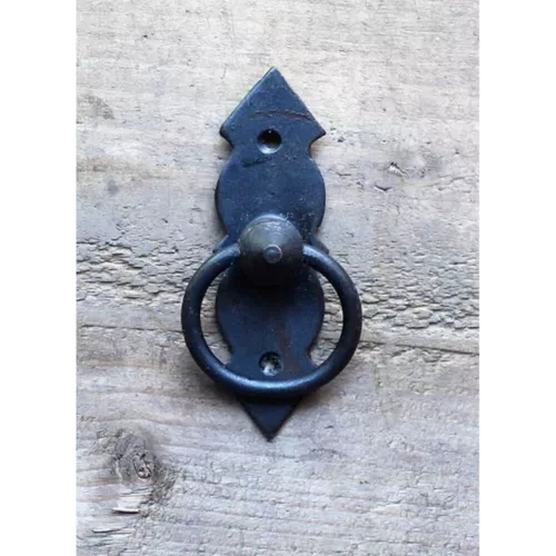 Forged Ring with Backplate
